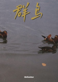 群鸟飞舞的世界末日